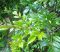 20221214_che-day-1