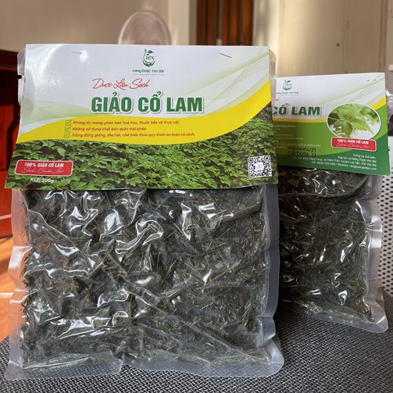 Trà giảo cổ lam