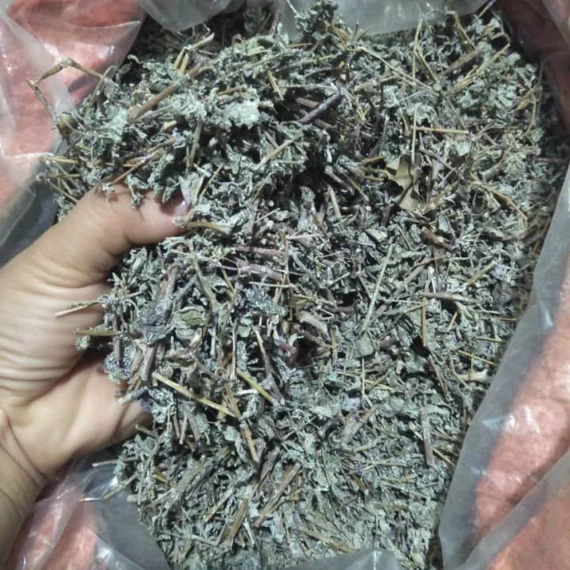 Chè dây Cao Bằng
