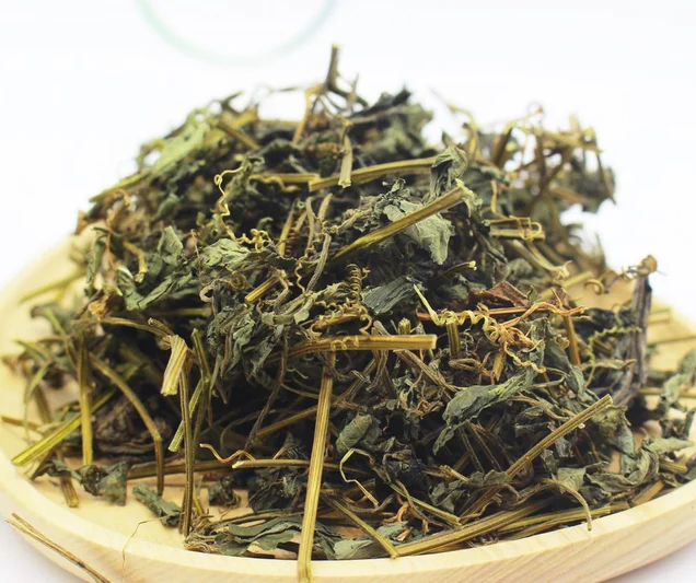 Trà giảo cổ lam - Hình ảnh 3