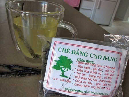 chè đắng Cao Bằng
