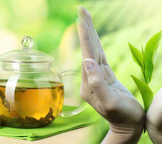 Chè đắng Cao Bằng - Hình ảnh 4